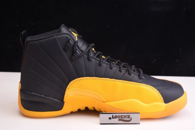 Air University 130690-070 Gold Jordan 12 Black Retro 0724